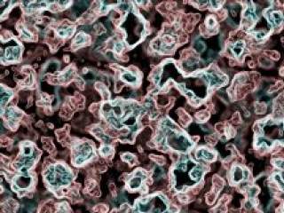 Bitna uloga našeg najvećeg organa