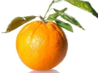 Nije dovoljno da unosimo vitamine samo kada smo bolesni