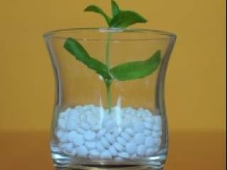 Kiseonik je savršeni lek bez negativnih i neželjenih dejstava