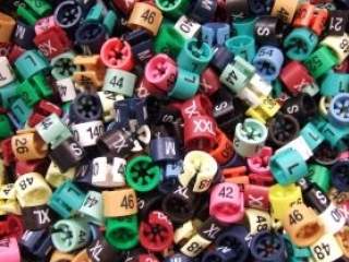 Imuni sistem detektuje tumorske ćelije