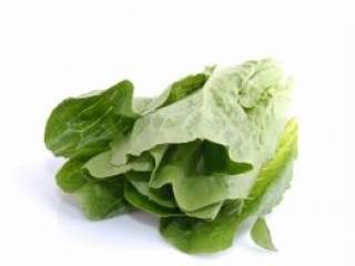 Prevenirajte opstipaciju pa samim tim i hemoroide