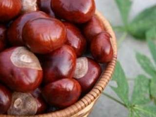 Namirnica sa niskim glukemijskim indeksom