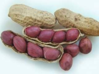 Veza izmešu kikirikija i crnog vina