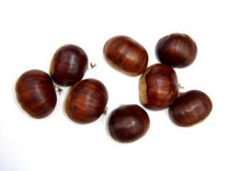 Kesten je odličan izvor vitamina C