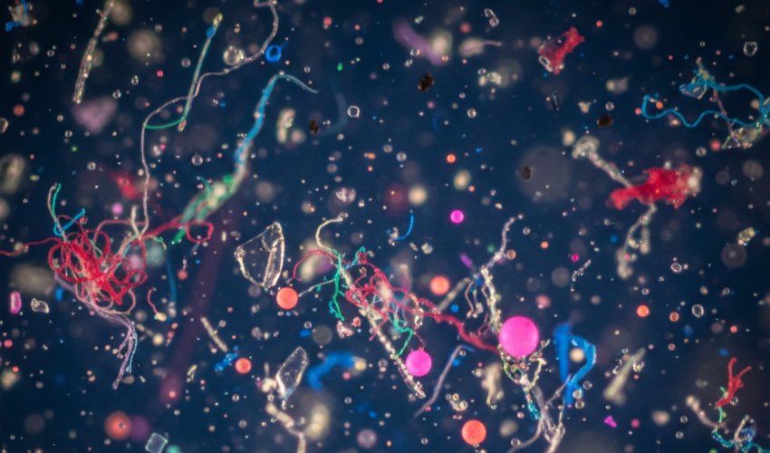 Kako mikro i nano plastika utiču na vaš organizam