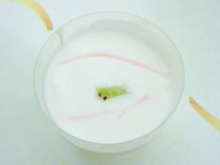 Probiotici čuvaju normalnu crevnu floru