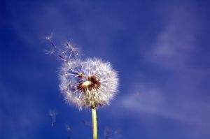 Da li stres može da bude uzrok alergije?