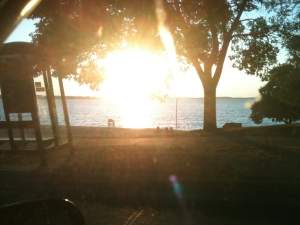 Vitamin D i rizik od demencije