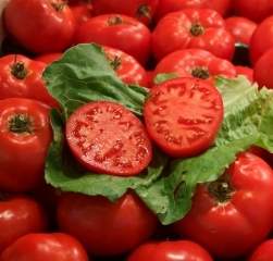 Kojim sastojcima je bogat paradajz?