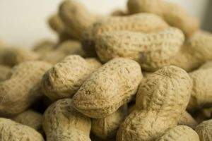 Kako kikiriki čuva naš nervni sistem?