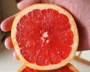 Antioksidantni sastojci crvenog grejpa
