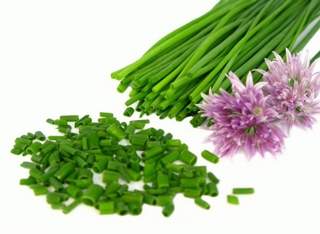 Blagotvorna svojstva vlašca i drugih lukova