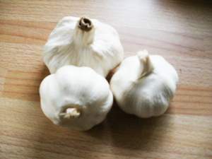 Kardioprotektivno dejstvo belog luka